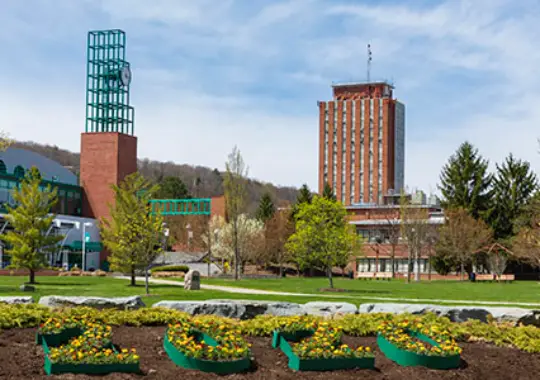 Binghamton University - universitas negeri di new york