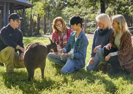 Healesville Sanctuary - tempat wisata di melbourne