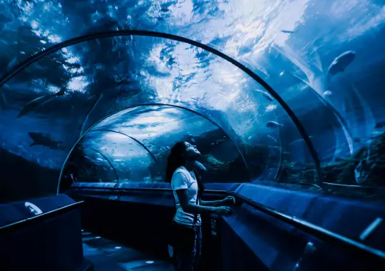 Sea Life Melbourne Aquarium - tempat wisata di melbourne