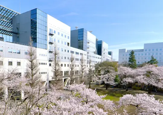 The University of Tokyo - universitas negeri jepang