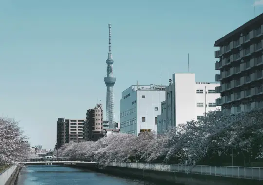 Jepang - Rekomendasi kuliah di luar negeri