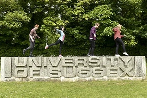 University of Sussex