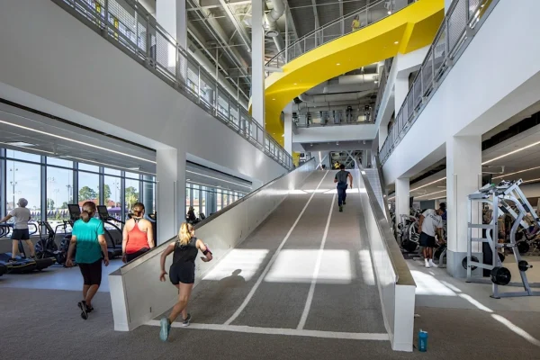 lsu 1