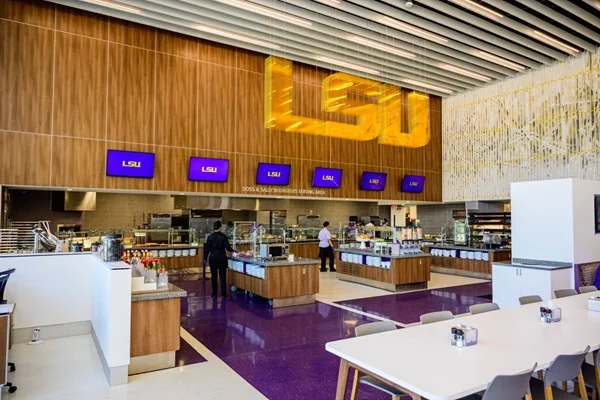 LSU2
