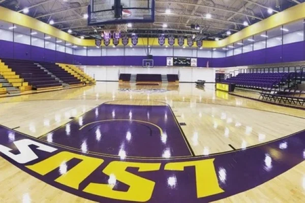 lsu3