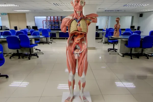 Mahsa University, Malaysia