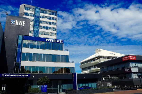 New Zealand Institute Of Education (Nzie)