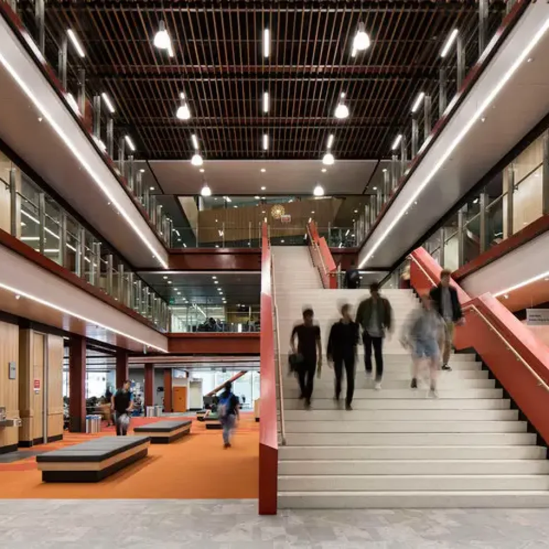 The University of Auckland