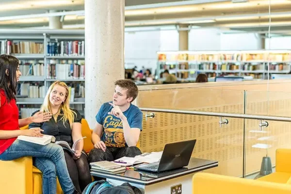 University Of Sheffield