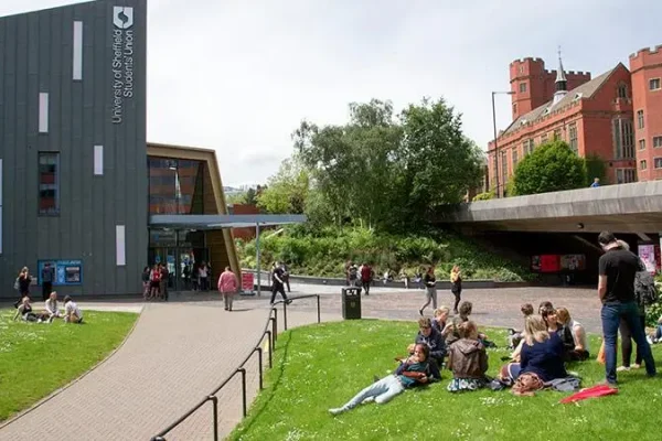 University Of Sheffield