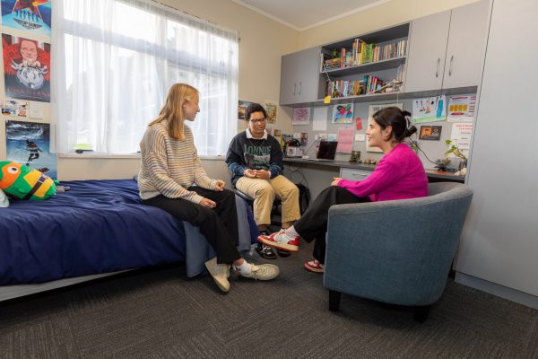 accommodation-hamilton