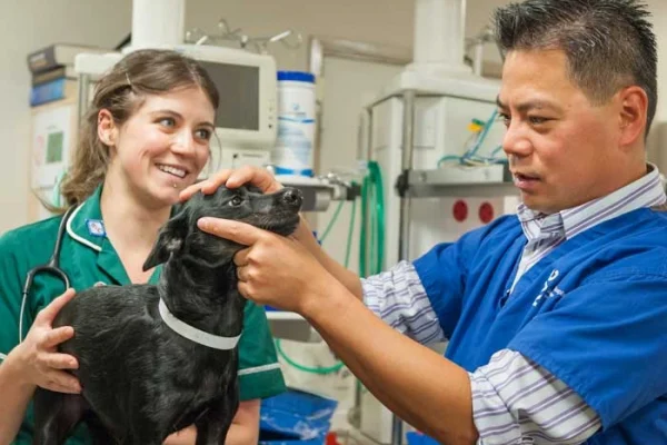Royal Veterinary College (RVC), University of London