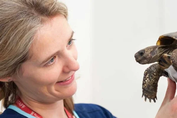 Royal Veterinary College (RVC), University of London