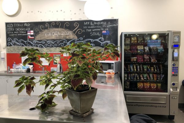 kitchenette-plants-v2