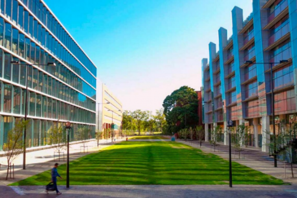 the university adelaide 4