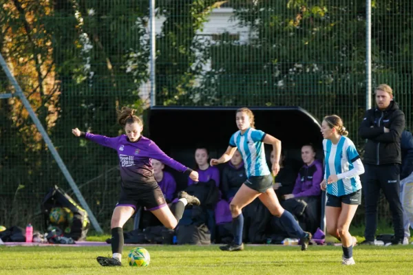 university of hertfordshire united kingdom